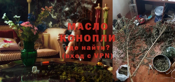 индика Каменногорск