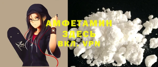 стаф Алексин