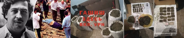 стаф Алексин