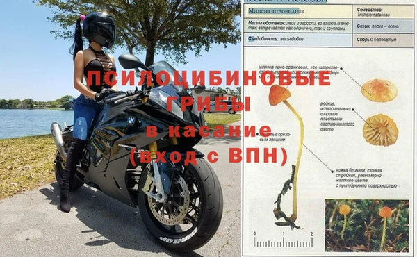mdpv Алзамай