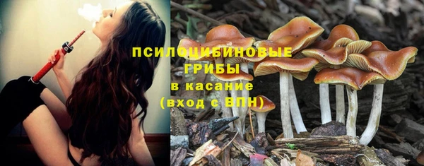mdpv Алзамай
