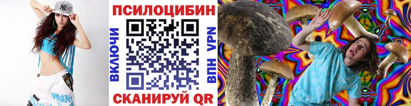 магазин продажи наркотиков Сольвычегодск МЕГА зеркало Галлюциногенные грибы мицелий