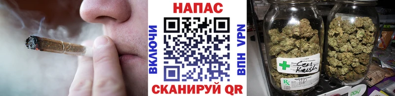 магазин продажи наркотиков  Сольвычегодск  Канабис сатива 